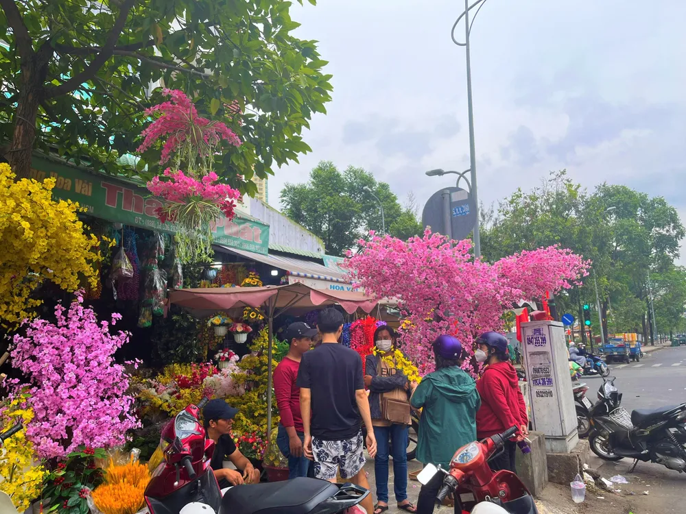 Người dân đang quan tâm giá cây hoa đào đang trưng bày tại một cửa hàng ở quận 5.