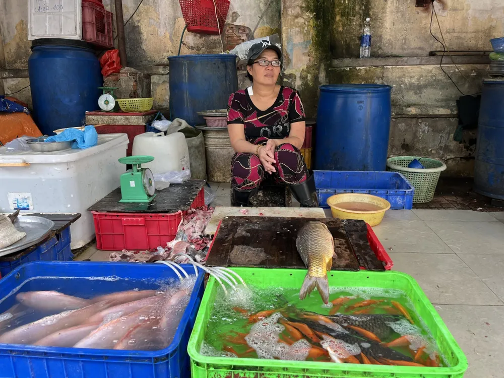 Tiểu thương chợ Tân Định chờ khách mua sỉ cá chép phóng sinh