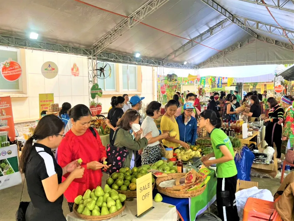 Mận, cam, xoài, dưa hấu Đồng Tháp được khách đi chợ quan tâm