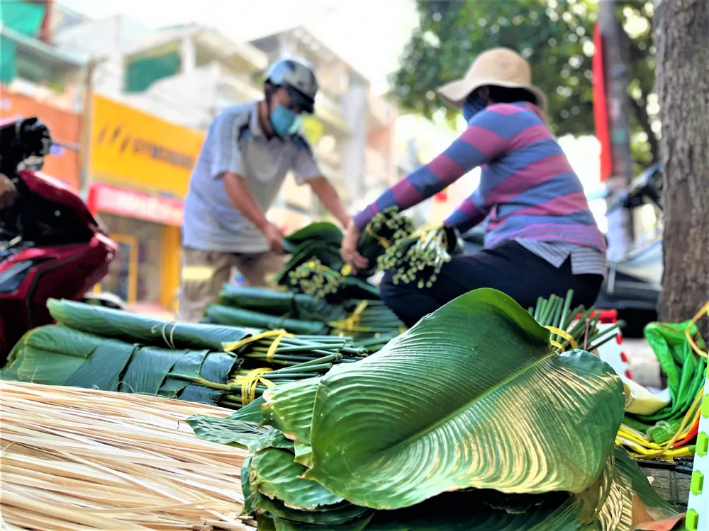 Giá lá dong bán tại vườn Bình Phước ổn định