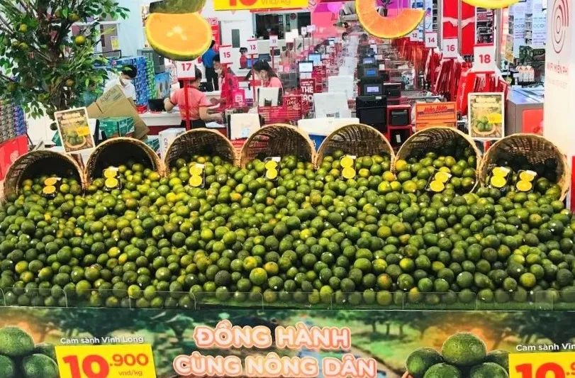 Nhiều siêu thị TP.HCM chung tay bán cam sành không lợi nhuận ảnh 1