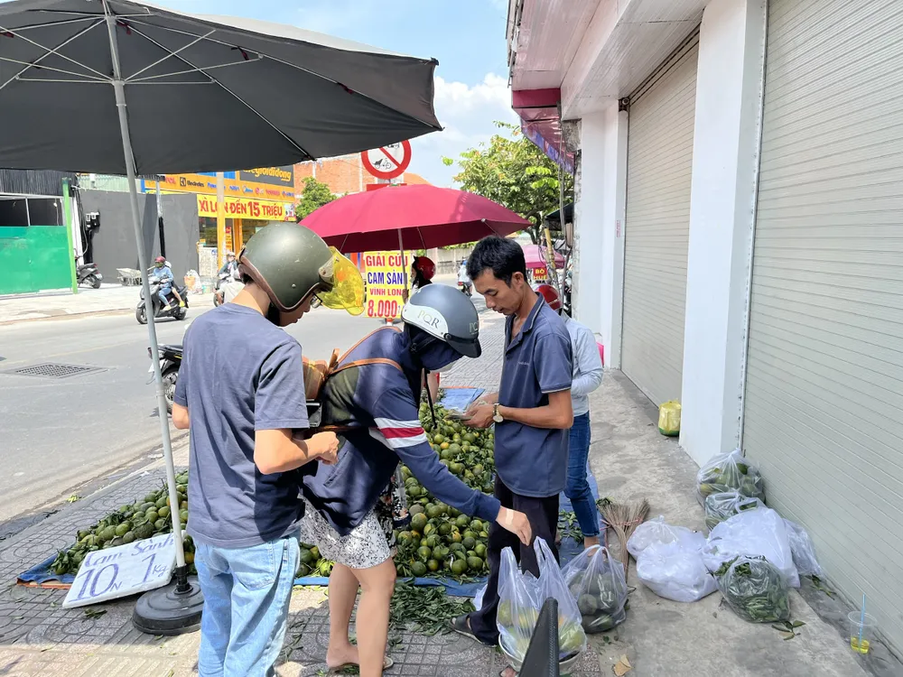 Người bán cho biết cam sành giải cứu được nhiều người dân ủng hộ mua. Người bán cho biết cam sành giải cứu được nhiều người dân ủng hộ mua.