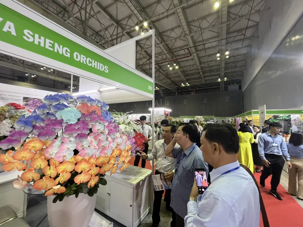 Khách tham quan tham quan công nghệ làm ra màu sắc hoa