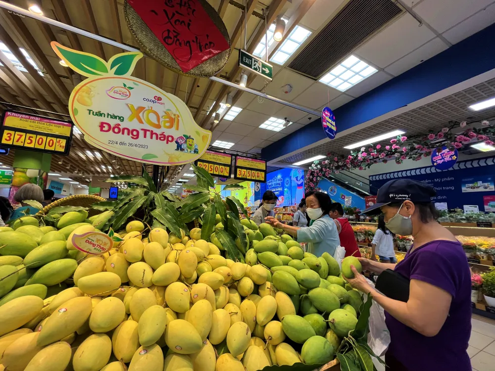 Xoài Đồng Tháp được siêu thị giảm giá thu hút người tiêu dùng chọn mua. ẢNH: TÚ UYÊN Xoài Đồng Tháp được siêu thị giảm giá thu hút người tiêu dùng chọn mua. ẢNH: TÚ UYÊN