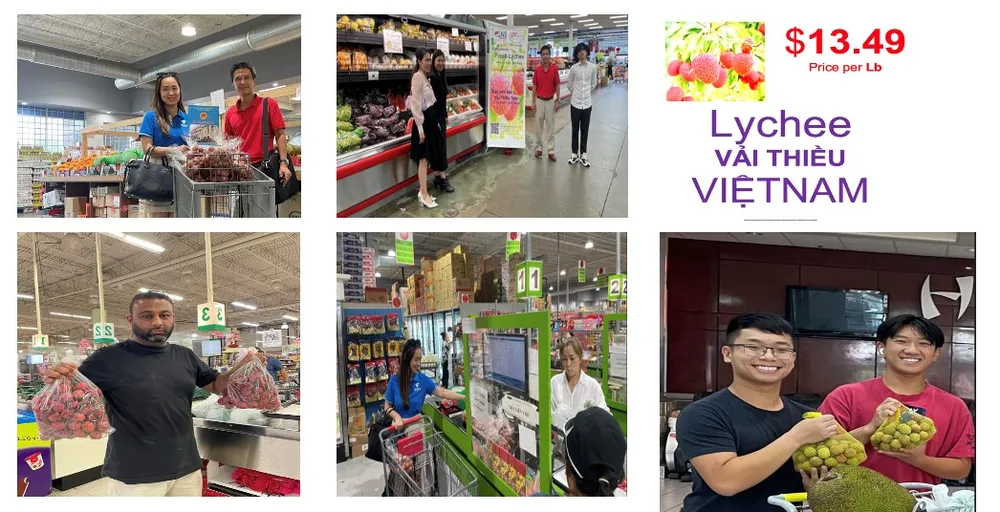 Vải thiều tươi Việt Nam đã được bày bán ở các chợ Châu Á, siêu thị lớn tại TP Houston. ẢNH: Bộ Công Thương Vải thiều tươi Việt Nam đã được bày bán ở các chợ Châu Á, siêu thị lớn tại TP Houston. ẢNH: Bộ Công Thương