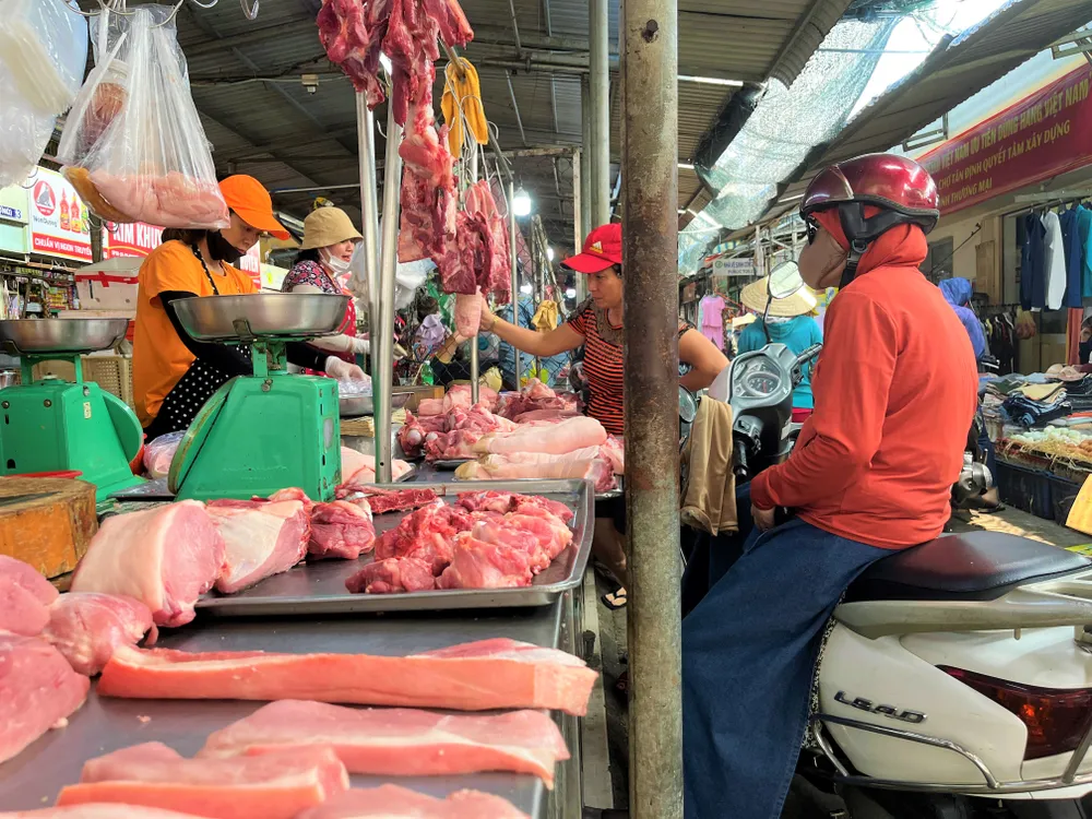 Thủ tướng yêu cầu 6 bộ ngăn chặn heo nhập lậu vào Việt Nam ảnh 1