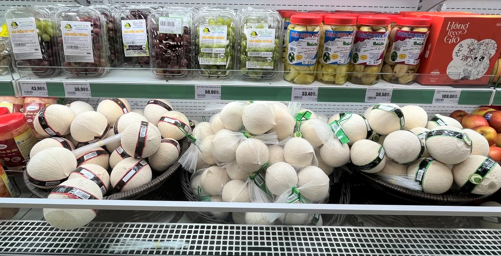 Trung Quốc tăng mua, dừa miền Tây 'cháy hàng' ảnh 1 trồng dừa