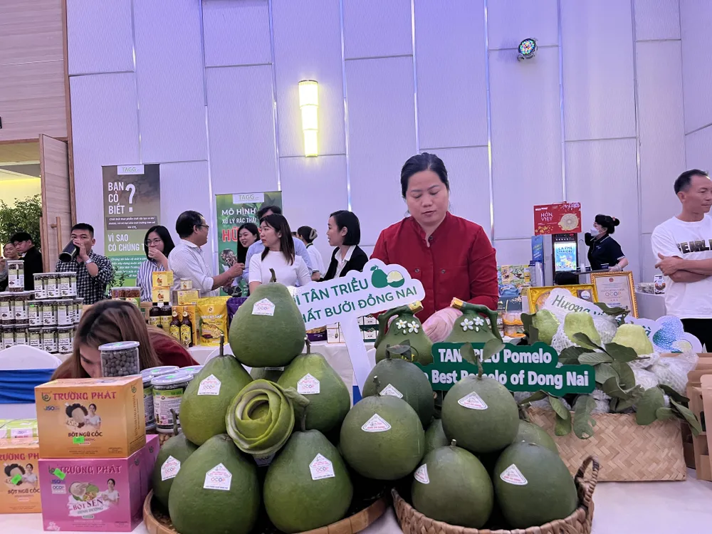Giải pháp đưa Đông Nam Bộ xứng đáng với vai trò đặc biệt quan trọng của vùng ảnh 1 Đông Nam Bộ