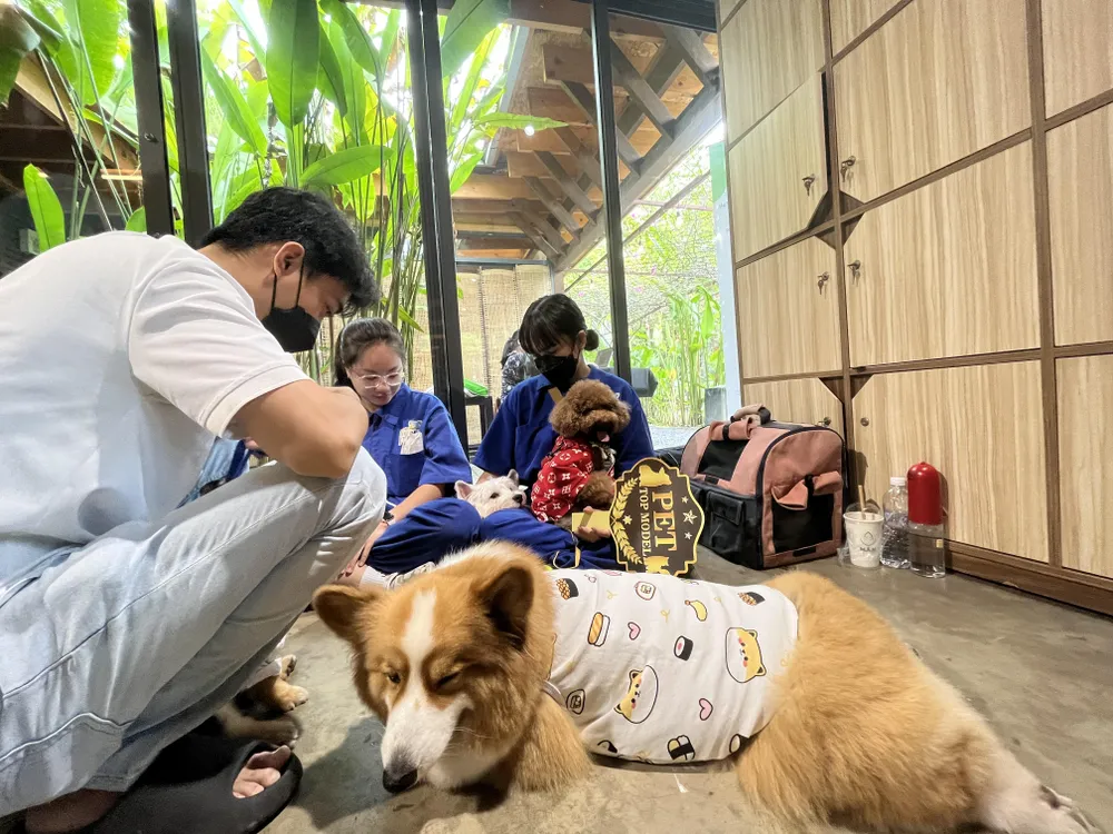 Hàng trăm đơn vị tham gia tuần lễ về giống, nông nghiệp công nghệ cao...ở TP.HCM ảnh 1 nông nghiệp công nghệ cao