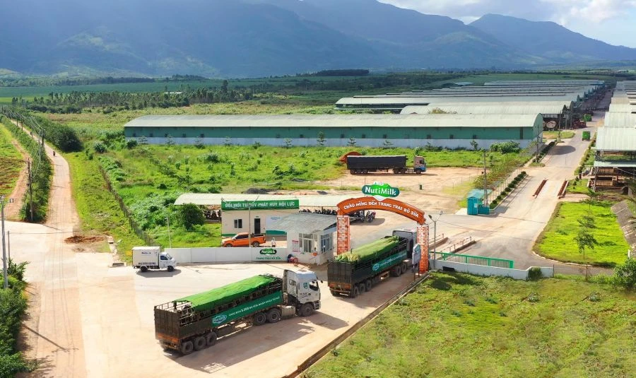 doanh nghiệp sữa