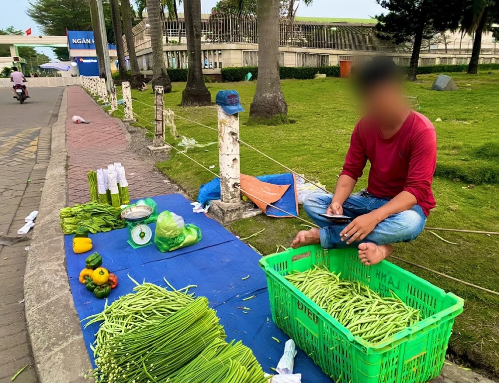 Thu nhập từ việc bán rau, củ của anh Công giảm đi một nửa từ ngày công nhân nghỉ việc. Ảnh: T.N