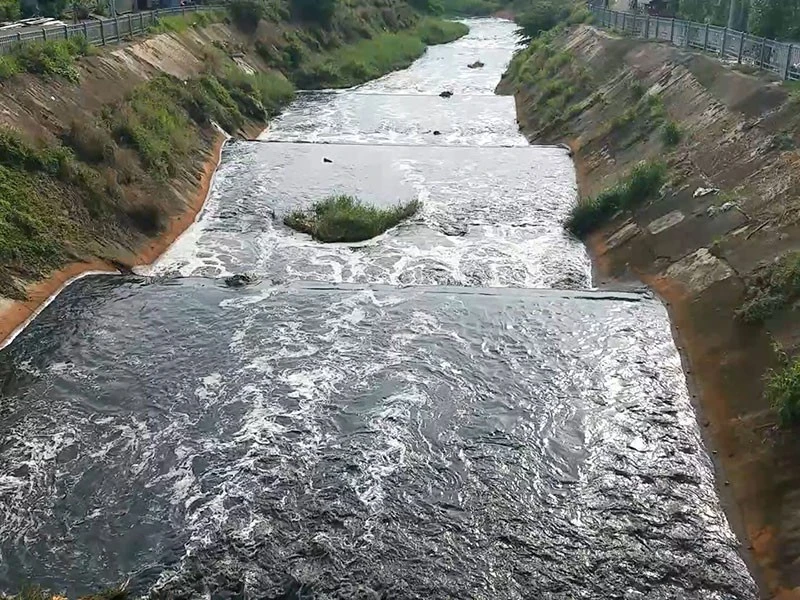 Kênh Ba Bò đi qua Bình Dương và TP.HCM. Ảnh: PLO