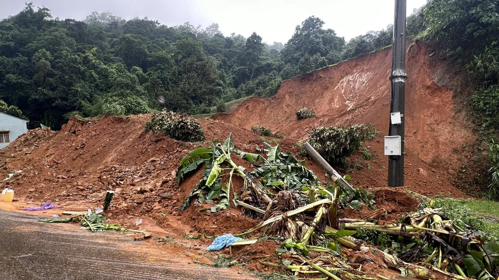 Hiện trường ngổn ngang cây cối từ đồi núi sạt xuống. Ảnh: VT