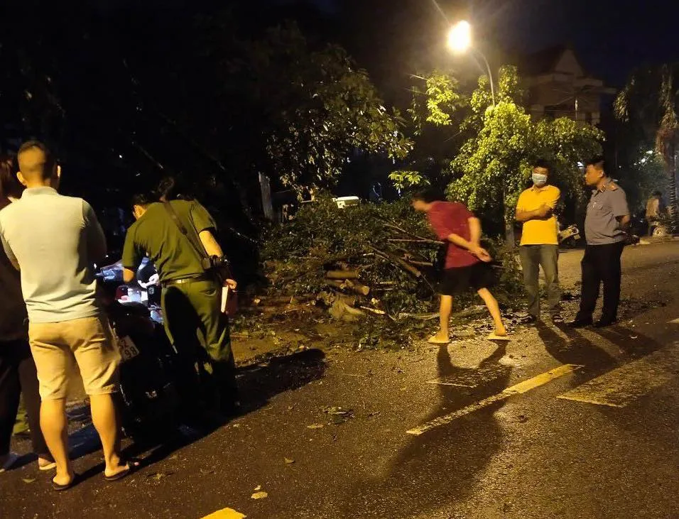 Hiện trường vụ việc cây xanh bật gốc khiến ông Chấn tử vong. Ảnh: CM