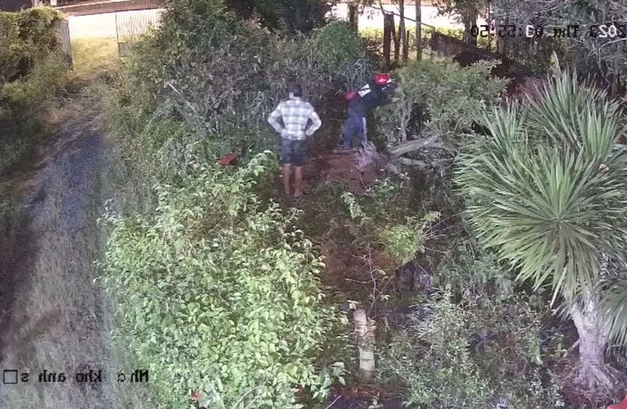 Camera ghi lại vụ việc. Ảnh: VT trom-cay-mai.jpg