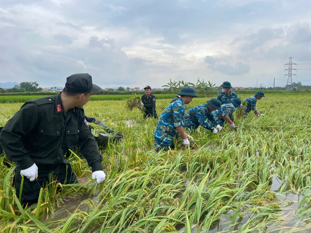 Bo-doi-ten-lua-va-canh-sat-co-dong-giu-dan-thu-hoach-lua-mua-chay-lu-1.jpg