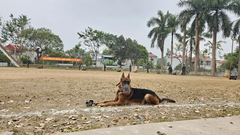 Xem Canh-sat-hoang-gia-campuchia-thao-dien-cung-cho-nghiep-vu-hoc-o-Viet-Nam-8.jpg