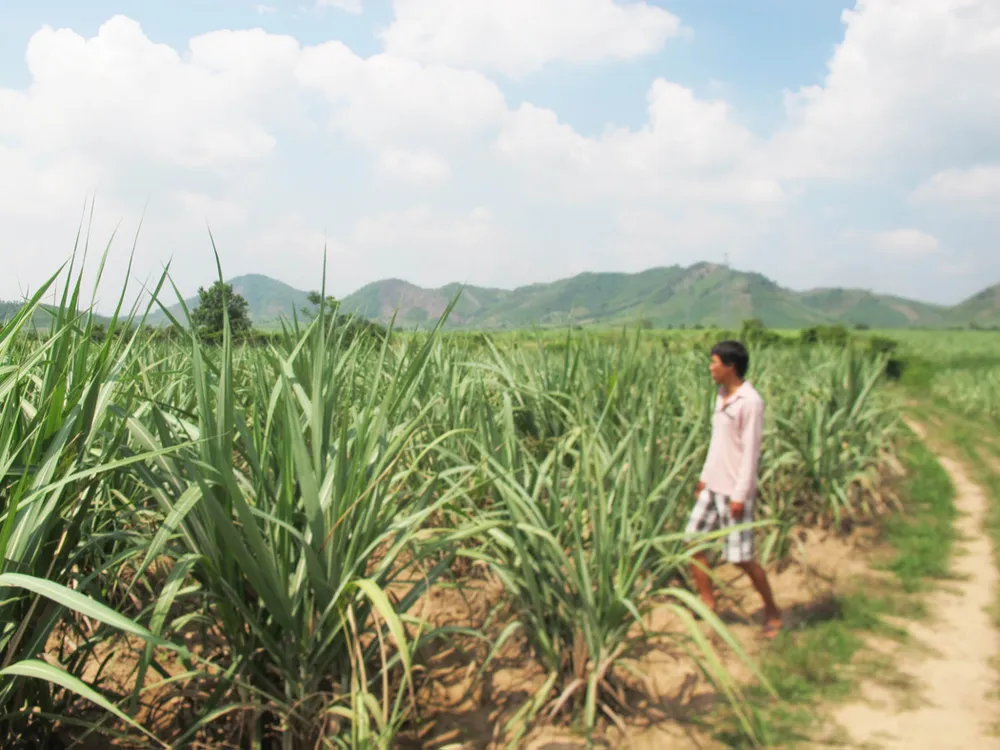 doanh nghiệp chiếm đất của dân