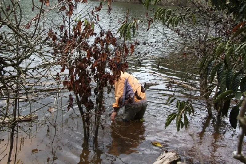 Bất lực nhìn 4 ngư dân bị lũ cuốn ra biển mất tích ảnh 2