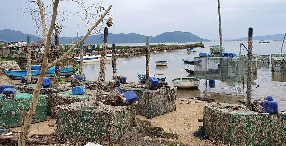 Cưỡng chế hơn 1.200 người ở vùng dự kiến tâm bão vào bờ ảnh 7 Cưỡng chế hơn 1.200 người ở vùng dự kiến tâm bão vào bờ ảnh 7