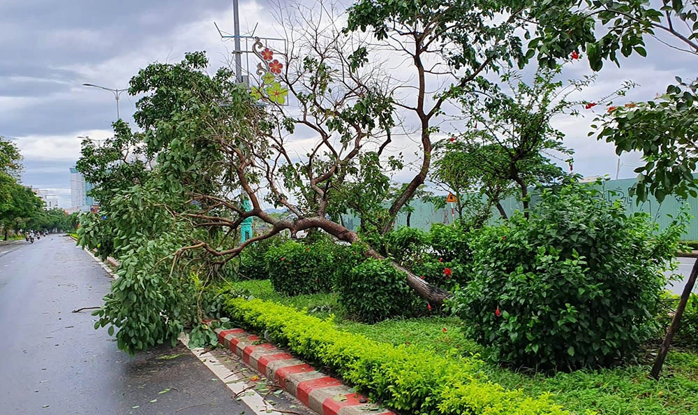 Sóng biển ập lên đường phố, đánh sập kè ở Phú Yên ảnh 5