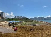 Nhùng nhằng thu hồi dự án lấn biển trái phép ở Nha Trang