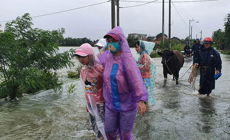 Bão vừa tan, nhiều làng ở Phú Yên hối hả chạy lũ ảnh 7 Bão vừa tan, nhiều làng ở Phú Yên hối hả chạy lũ ảnh 7