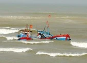 Đã liên lạc được 12 ngư dân sau nhiều ngày mất dấu ảnh 1 Tàu cá bị đâm chìm, 2 ngư dân mất tích