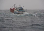 Tàu cá bị sóng đánh chìm, thuyền trưởng tử vong ảnh 2 Tàu chở 4 ngư dân mất tích trên vùng biển Lý Sơn