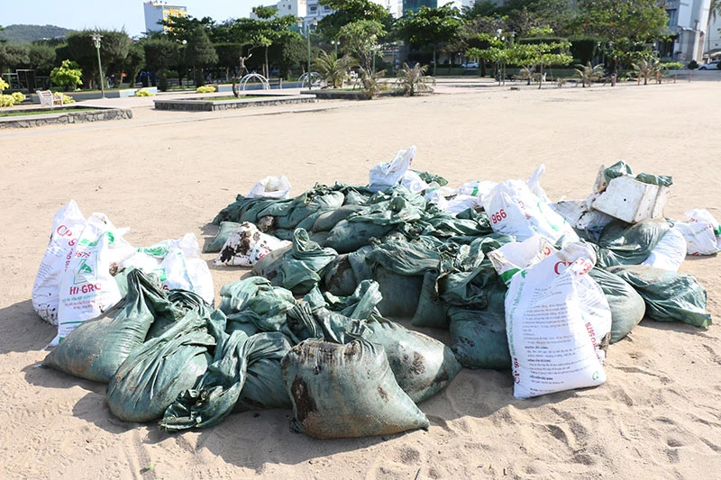 Dầu vón cục dạt vào đen kịt bờ biển Nha Trang ảnh 8