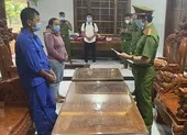 Truy đuổi 2 xe chở gỗ lậu, phát hiện 3 cây dổi trong rừng bị cưa hạ ảnh 2 Thêm 2 cán bộ lâm nghiệp và 11 người bị khởi tố trong vụ phá rừng ở Hòn Đót