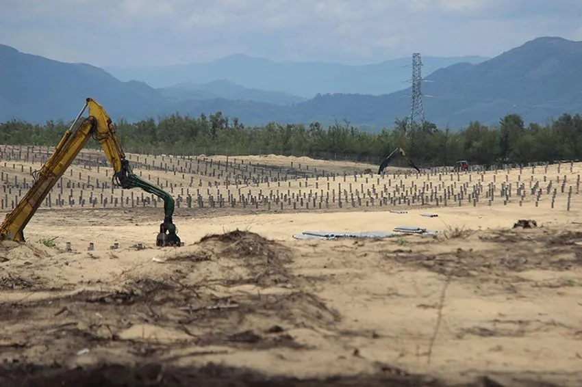 Hơn 5 ha rừng phòng hộ ngoài khu vực dự án bị phá trắng khi thi công Nhà máy Điện mặt trời Phù Mỹ. Ảnh: NO