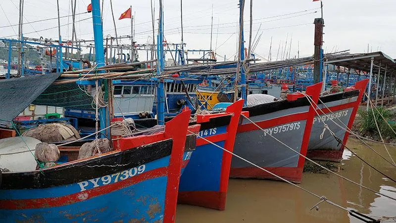 Tàu thuyền ở Phú Yên neo đậu tránh bão. Ảnh: PHƯƠNG NAM Tàu thuyền ở Phú Yên neo đậu tránh bão. Ảnh: PHƯƠNG NAM