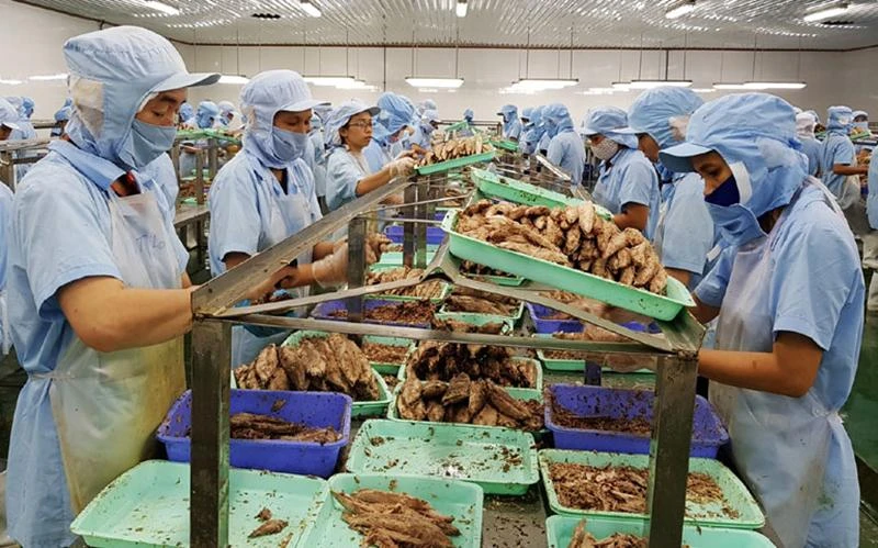 Chế biến thủy sản tại khu công nghiệp Hòa Hiệp trong khu kinh tế Nam Phú Yên. Ảnh: NX