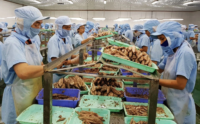 Chế biến thủy sản tại khu công nghiệp Hòa Hiệp. Ảnh: CTV