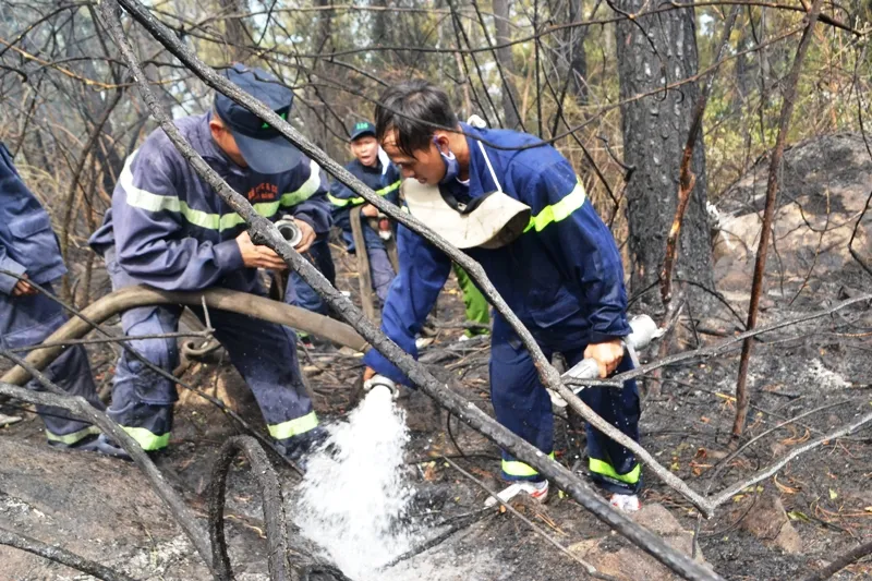Nước được kéo từ gần đỉnh đèo xuống "trung tâm" vùng cháy.
