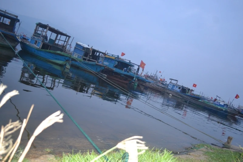 Tàu thuyền neo đậu để tránh bão số 4 tại âu thuyền Thọ Quang.