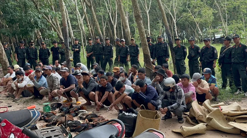 Công an tỉnh Tây Ninh triệt phá điểm đá gà sát biên giới.