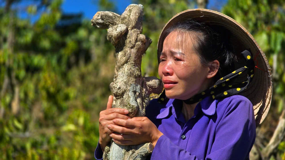 Chị Giang Phương Thanh khóc ngất khi thấy vườn cây bị kẻ gian phá hoại lần thứ 2.