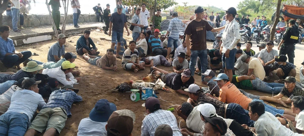 Cảnh sát vây bắt 75 người đá gà ăn tiền tại khu đất trống ở Tiền Giang