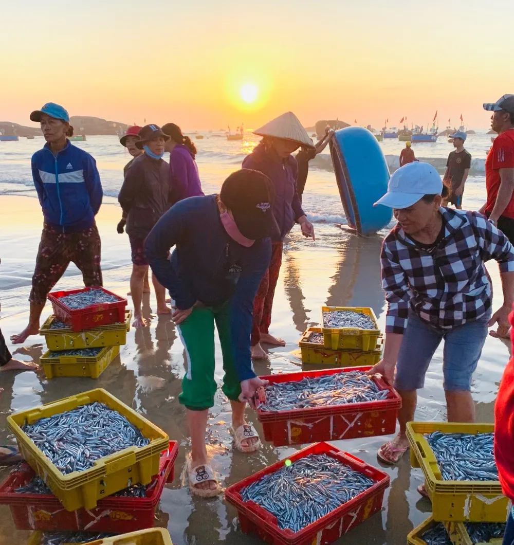 z5254960118362_24a7804491daa700be159937b6d1c134 (1).jpg