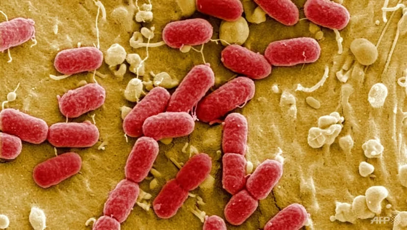 Liên Hợp Quốc ước tính siêu vi khuẩn có thể là nguyên nhân khiến 10 triệu người chết hàng năm vào năm 2050. Ảnh: AFP