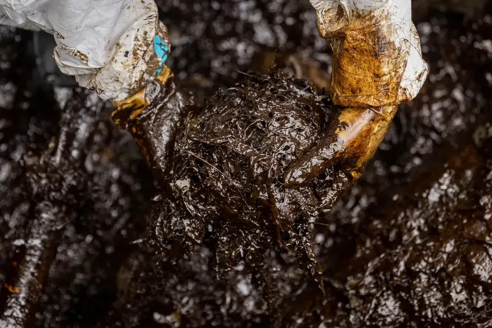 Sự cố tràn dầu ảnh hưởng nghiêm trọng đến bờ biển đảo Mindoro. Ảnh: REUTERS