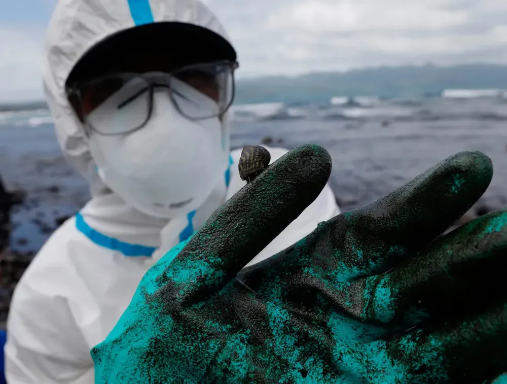 Con ốc sên trên găng tay của một tình nguyện viên môi trường đang dọn dẹp bờ biển ở thị trấn Pola. Ảnh: EPA