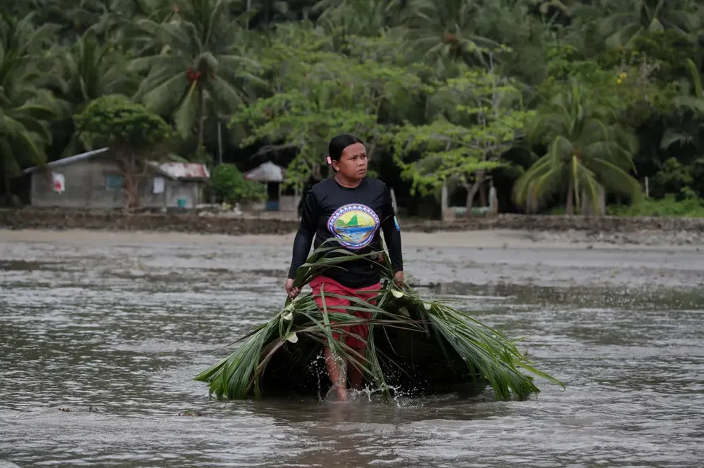 Một người dân làng thu thập lá dừa để giúp xây dựng hàng rào tạm thời bên bãi biển chống dầu tràn vào bờ. Ảnh: EPA