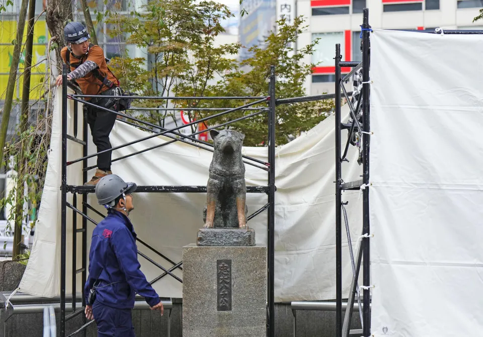 Chính quyền quận Shibuya, thủ đô Tokyo (Nhật), ngày 28-10 đã rào bức tượng chú chó Hachiko nổi tiếng trước thềm lễ Halloween. Ảnh: KYODO NEWS halloween.jpg