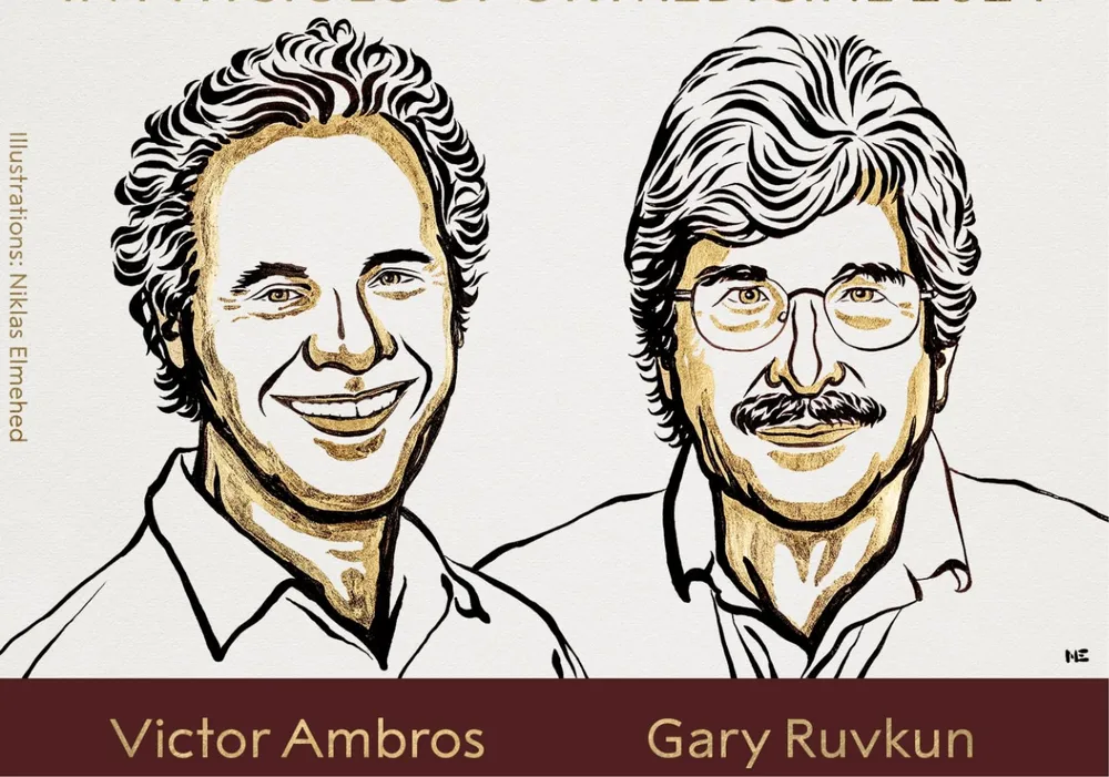 Nobel Y học 2024 vinh danh công trình nghiên cứu microRNA