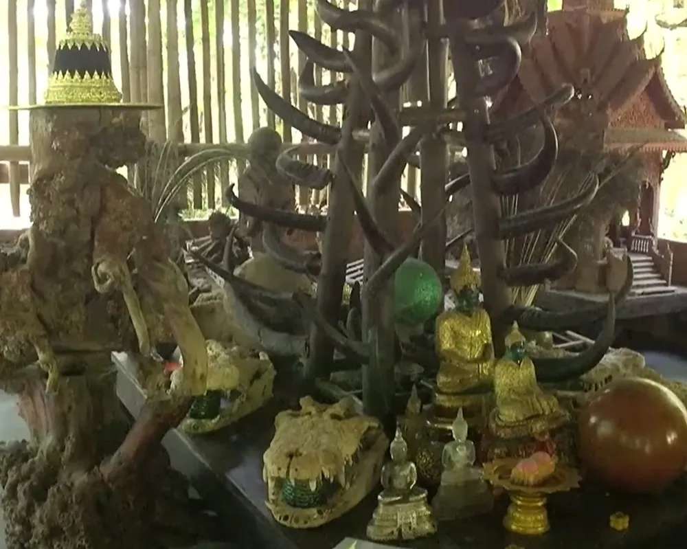 thai-lan-dieu-tra-mot-tu-vien-vi-su-dung-thi-the-de-thien-dinh (1).jpg