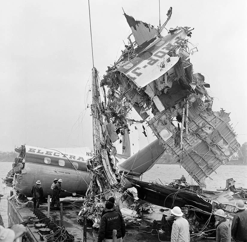 nhung-vu-may-bay-va-phai-chim-chan-dong-nganh-hang-khong (2).jpg