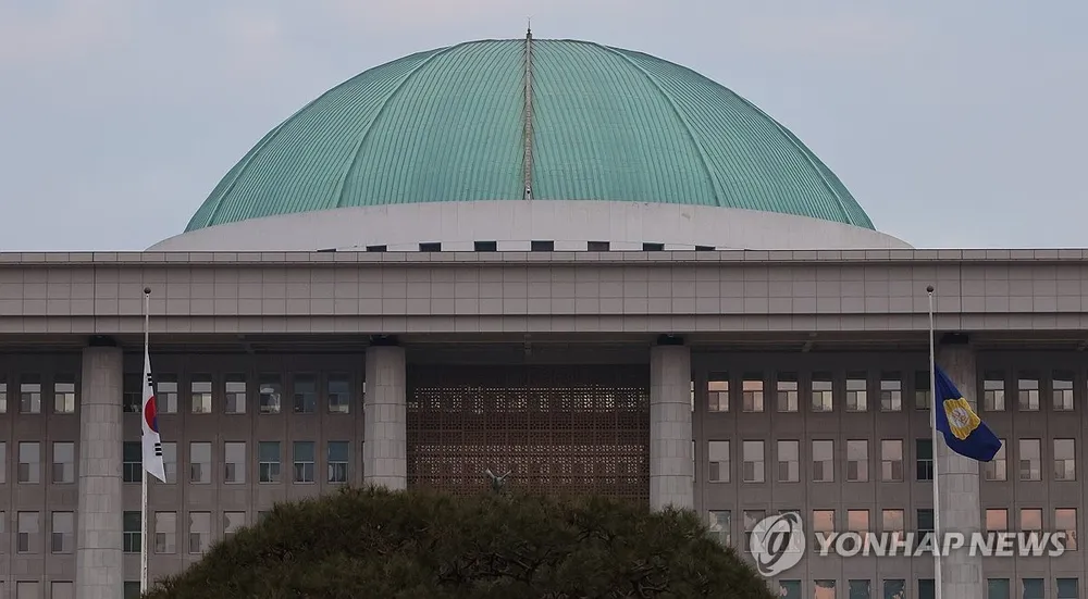 chum-anh-tang-toc-tham-kich-may-bay-han-quoc (6).jpg